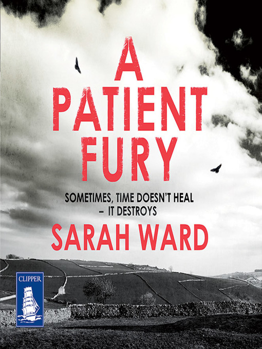 Title details for A Patient Fury by Sarah Ward - Available